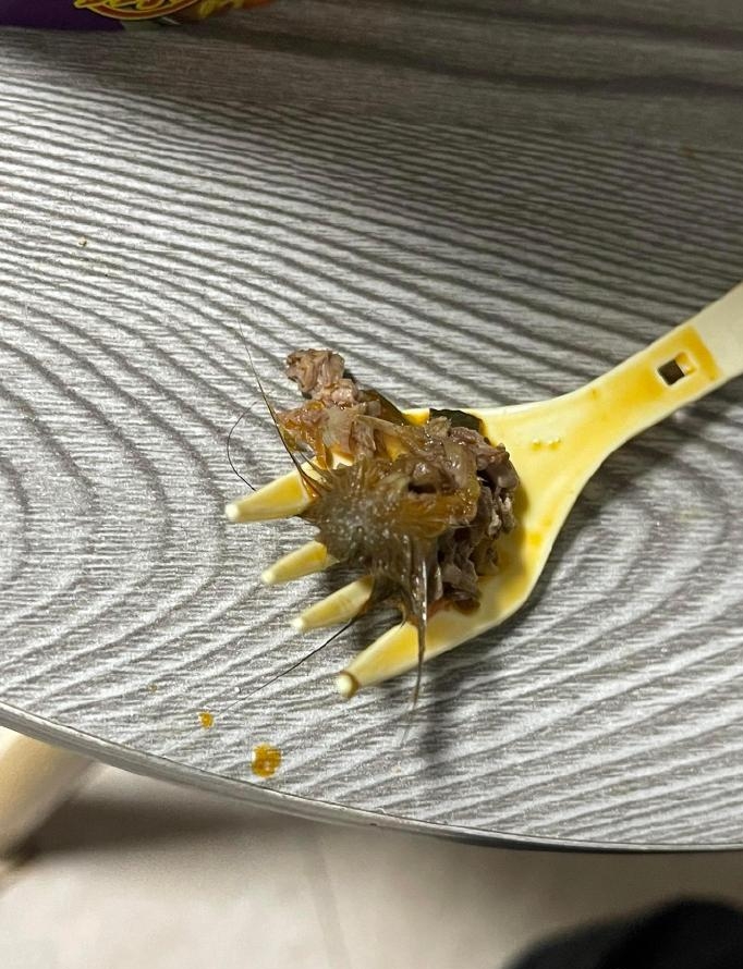 疑似有尖牙和须的鼠头。 疑似有尖牙和须的鼠头。