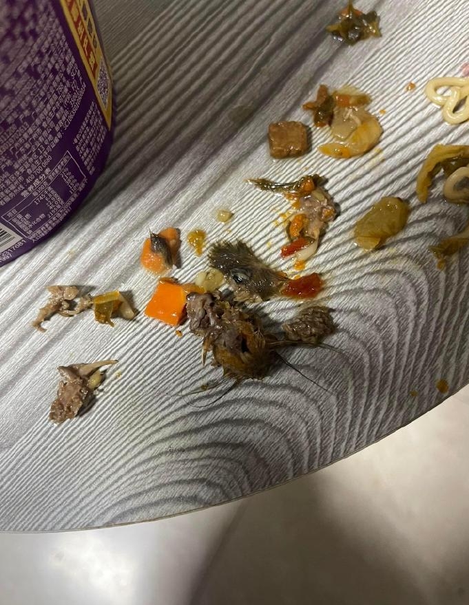 当事人吴先生在网上发布照片称统一老坛酸菜牛肉杯面里吃出了老鼠头。 当事人吴先生在网上发布照片称统一老坛酸菜牛肉杯面里吃出了老鼠头。