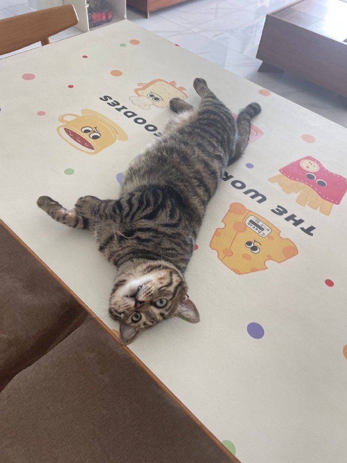 躺平、摆烂是一种消极的生活态度。(微博)‘ 躺平、摆烂是一种消极的生活态度。(微博)‘