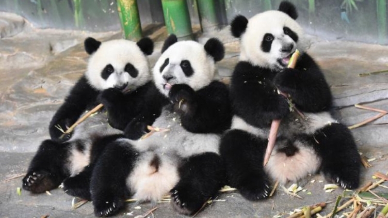 New_Project_001_11 New_Project_001_11