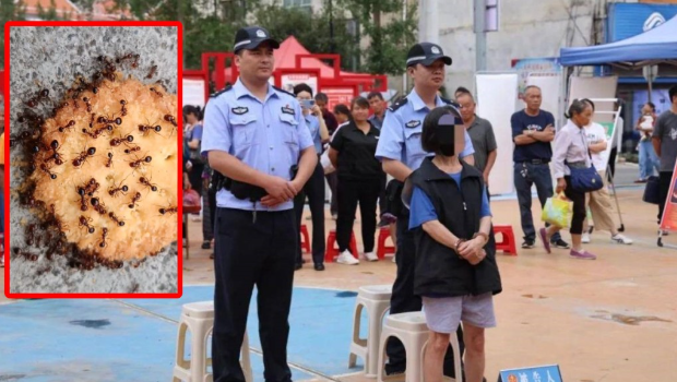 贵州有妇女在山上摘野菜时,被蚁咬后点火烧窝报复,结果引发山火。 贵州有妇女在山上摘野菜时,被蚁咬后点火烧窝报复,结果引发山火。