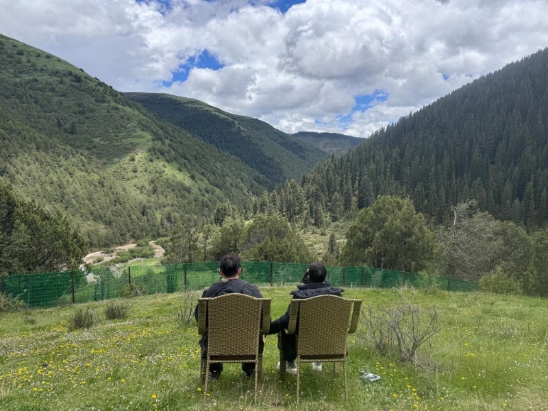 李连杰只上载利智的背面照。 李连杰只上载利智的背面照。