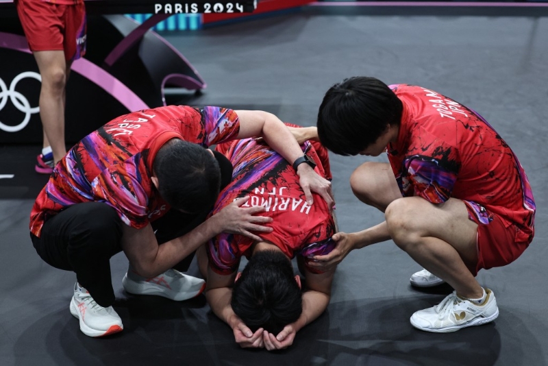 张本智和 张本智和