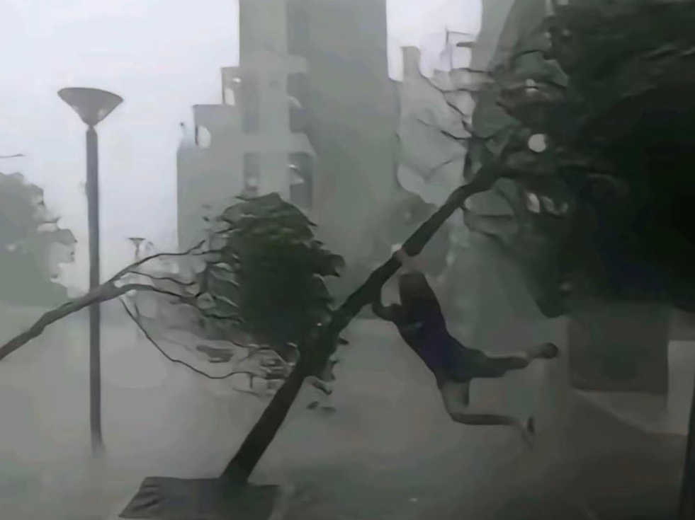 网传有人被吹起 网传有人被吹起