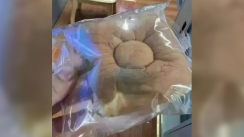 江苏昆山7间学校派霉蛋糕予学生。 江苏昆山7间学校派霉蛋糕予学生。