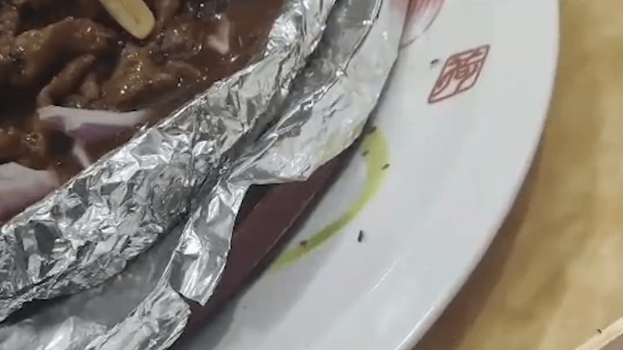 食客拍片投诉,铁板料理上桌数十小蟑螂秒窜出。 食客拍片投诉,铁板料理上桌数十小蟑螂秒窜出。