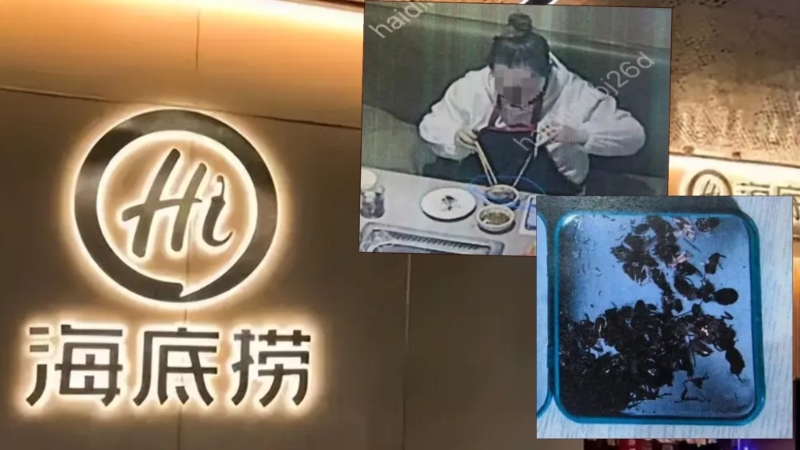 女子将死虫放进海底捞调料碗索赔,被判有期徒刑7个月。 女子将死虫放进海底捞调料碗索赔,被判有期徒刑7个月。