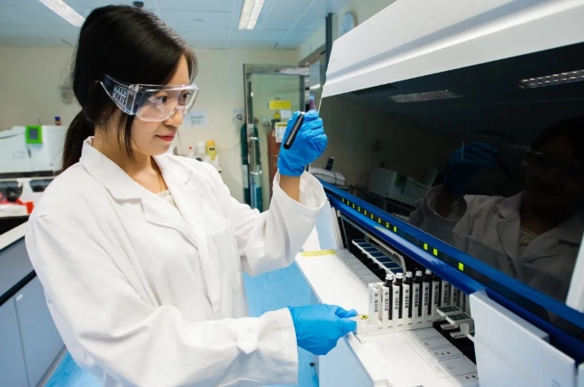 微信截图_20241010163021 微信截图_20241010163021