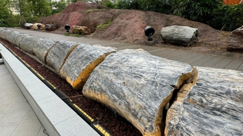 月石(图片授权:IG@zoechan1110) 月石(图片授权:IG@zoechan1110)