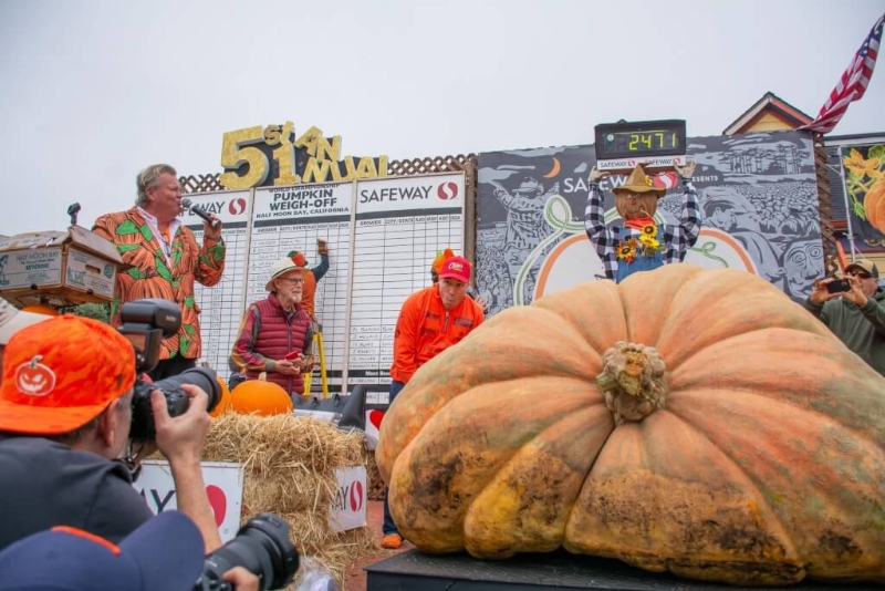 美国明尼苏达州一名园艺老师14日在北加州一年一度的南瓜秤重大赛中封王。 美国明尼苏达州一名园艺老师14日在北加州一年一度的南瓜秤重大赛中封王。