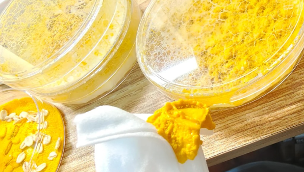 养黏菌减压? 养黏菌减压?