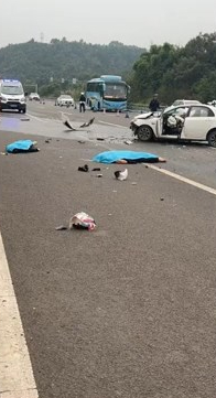 有涉事者被盖上蓝布。 有涉事者被盖上蓝布。