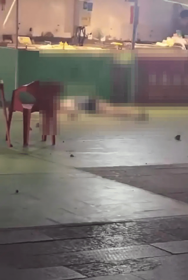 女子在长春夜市被砖头击中 女子在长春夜市被砖头击中