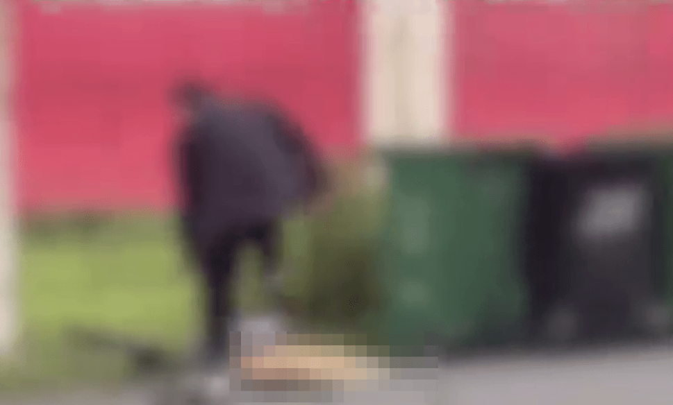 华北理工大学生疑在校内当众虐猫,疯狂踩踏。 (伴侣动物专项基金) 华北理工大学生疑在校内当众虐猫,疯狂踩踏。 (伴侣动物专项基金)