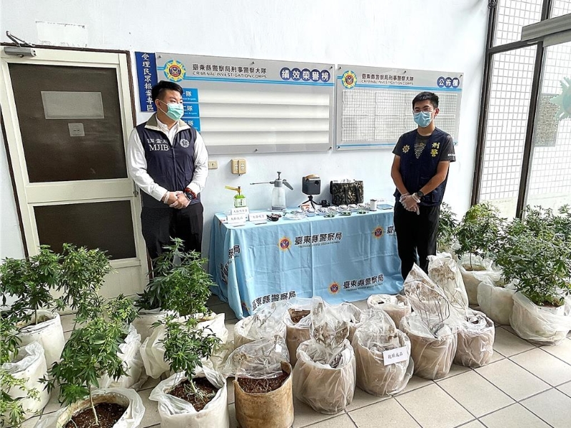 台东县警察局刑警大队破获绿岛乡大麻栽种场，亦是全台首起离岛制毒案。