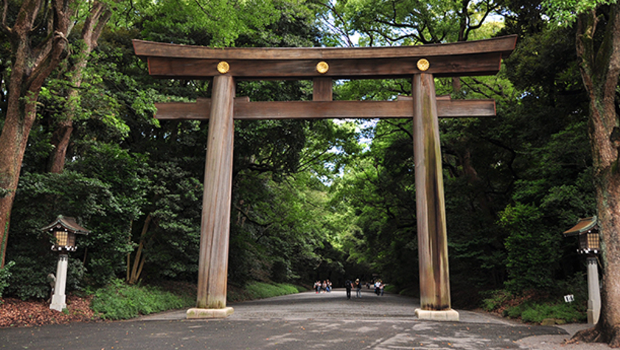 日本警方逮捕污损东京神社的美国游客