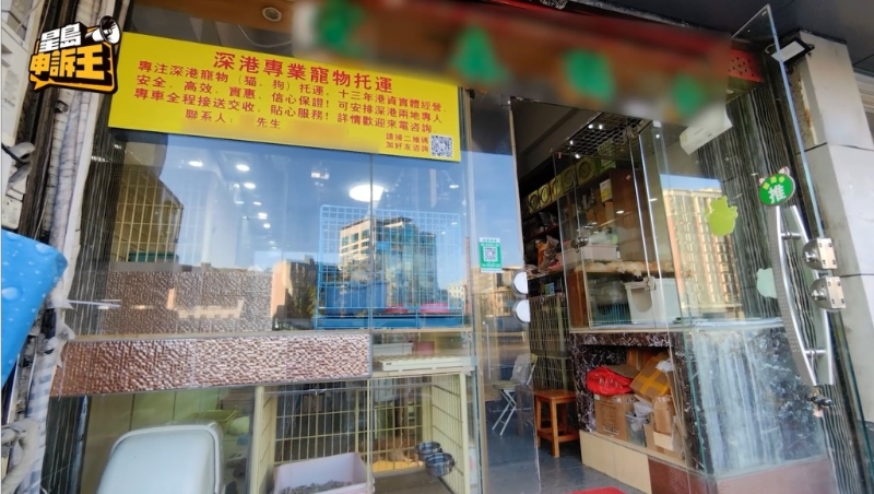 其中一间宠物店，自称在深圳开业十多年，拥有大量香港顾客。