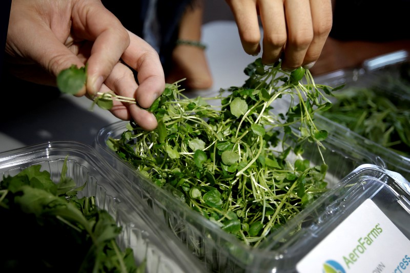 西洋菜在“最健康蔬菜排行榜”评分为100分。 西洋菜在“最健康蔬菜排行榜”评分为100分。