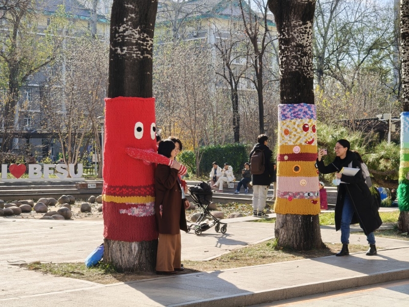 北京街头的“毛衣树” 北京街头的“毛衣树”