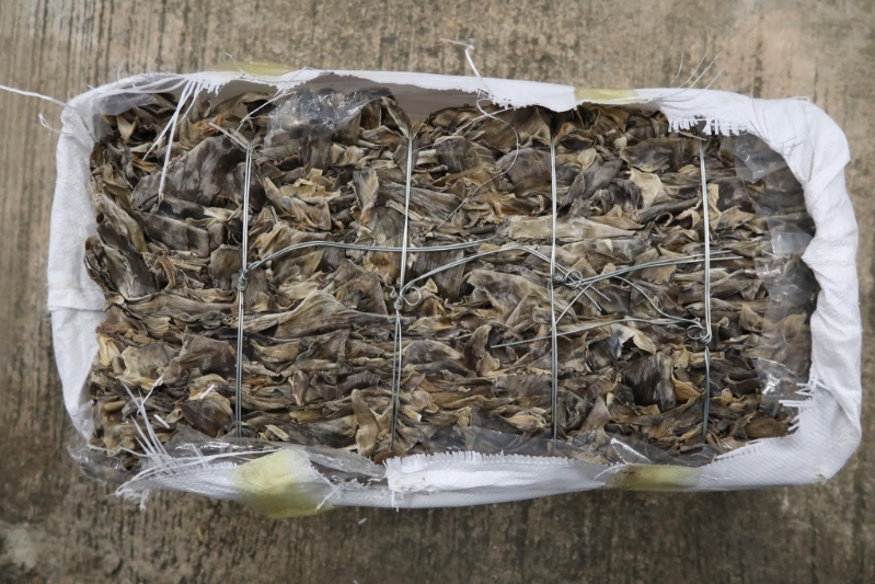 行动中检获590公斤怀疑干鱼翅 市值102万元。 行动中检获590公斤怀疑干鱼翅 市值102万元。