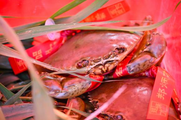 南沙龙穴“三圣公诞” 民俗文化节开幕 南沙龙穴“三圣公诞” 民俗文化节开幕