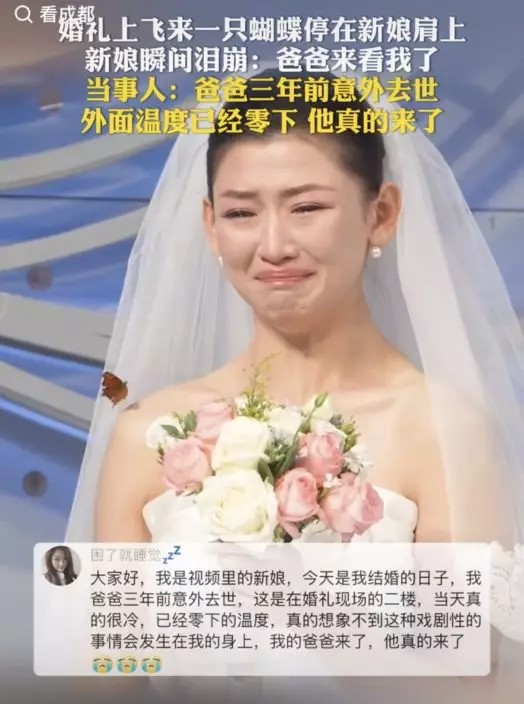 蝴蝶飞到新娘的肩上停下。 蝴蝶飞到新娘的肩上停下。