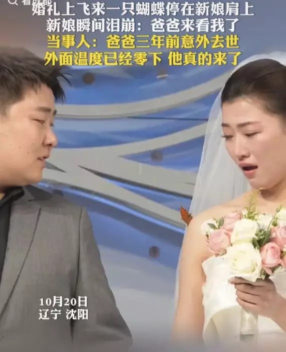 蝴蝶停在新娘肩上。 蝴蝶停在新娘肩上。