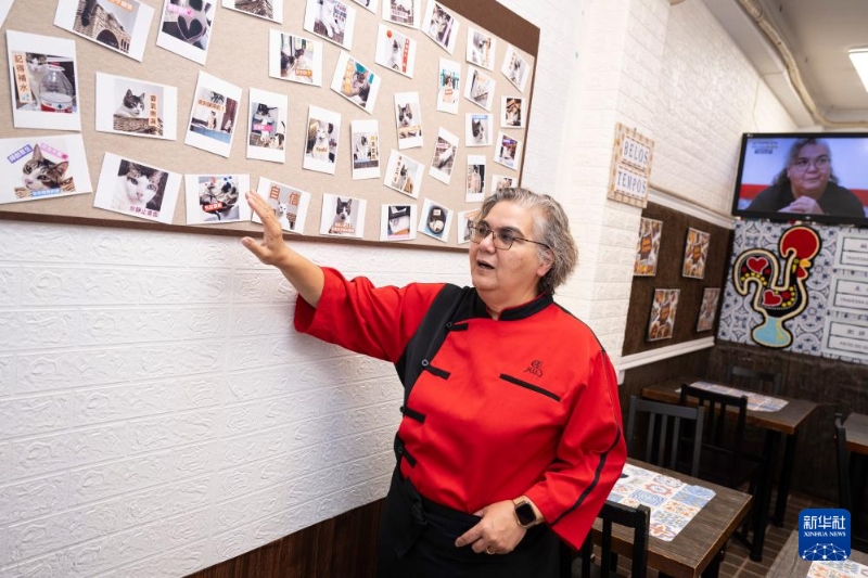 土生葡人马安娜介绍她的宠物猫 土生葡人马安娜介绍她的宠物猫
