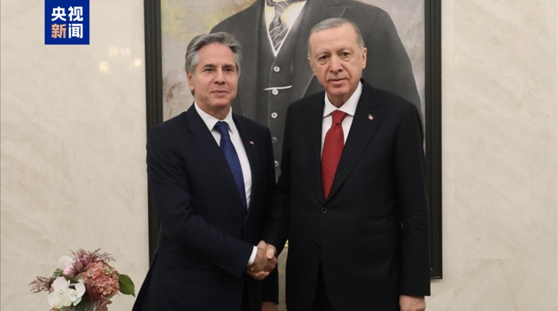 土耳其总统会见布林肯 土耳其总统会见布林肯