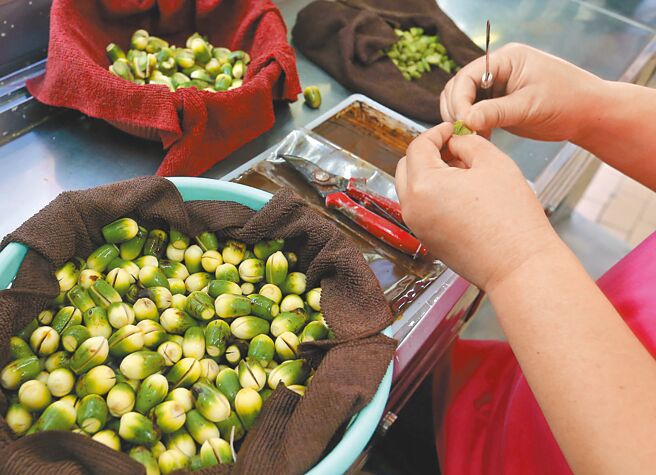 槟榔被列为一级致癌物,常食会增加罹患口腔癌风险。中时 槟榔被列为一级致癌物,常食会增加罹患口腔癌风险。中时