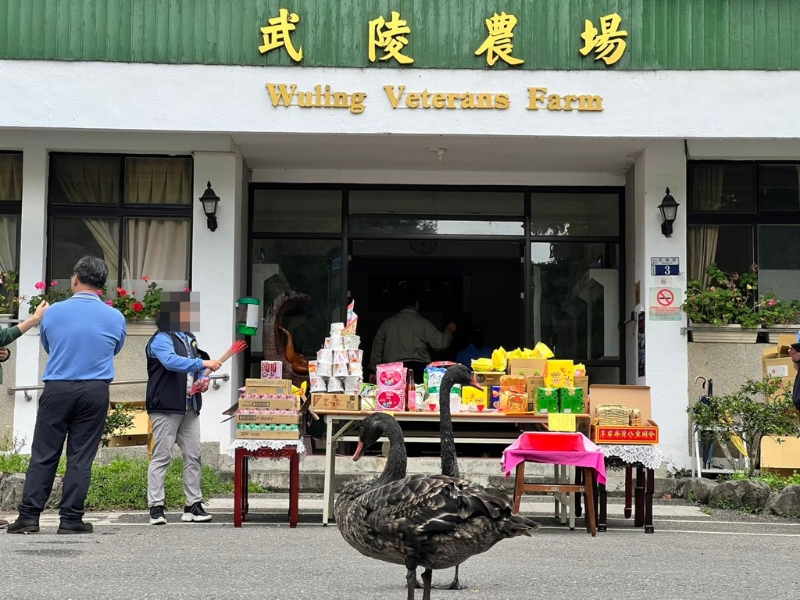 台中知名景点“武陵农场”惊爆职场霸凌。 台中知名景点“武陵农场”惊爆职场霸凌。