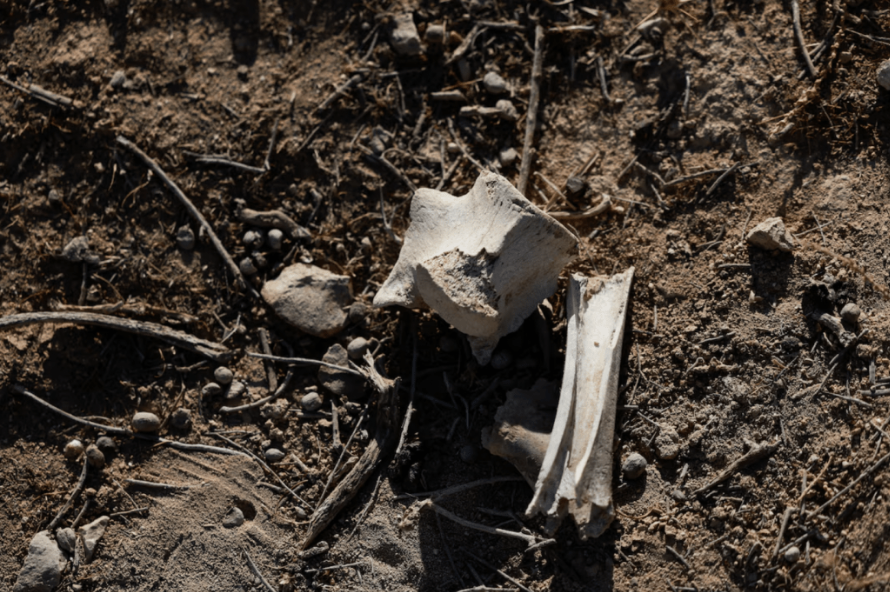 Screenshot_2024-12-18_at_12_14_39_AM Screenshot_2024-12-18_at_12_14_39_AM