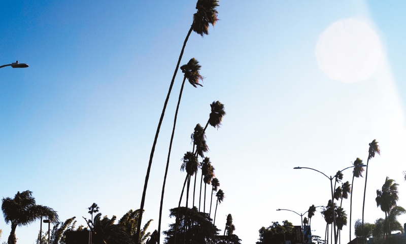 加州强风。 加州强风。