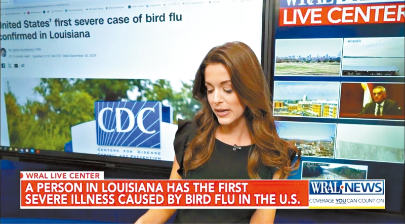 禽流感。 禽流感。