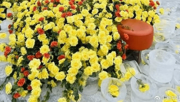 哈尔滨冰封黄玫瑰爆红。 微博 哈尔滨冰封黄玫瑰爆红。 微博