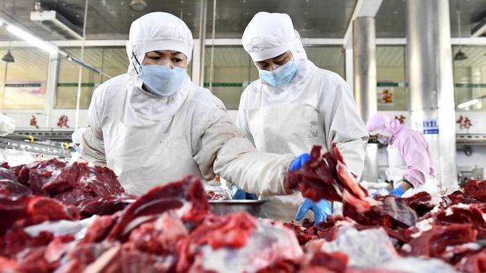 牛肉进口飙升,价跌至近5年最低,内地畜牧业收入大受影响。 牛肉进口飙升,价跌至近5年最低,内地畜牧业收入大受影响。