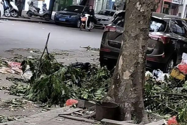 垃圾满街 垃圾满街