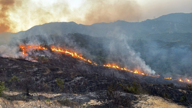 大火吞噬山坡草丛。 大火吞噬山坡草丛。