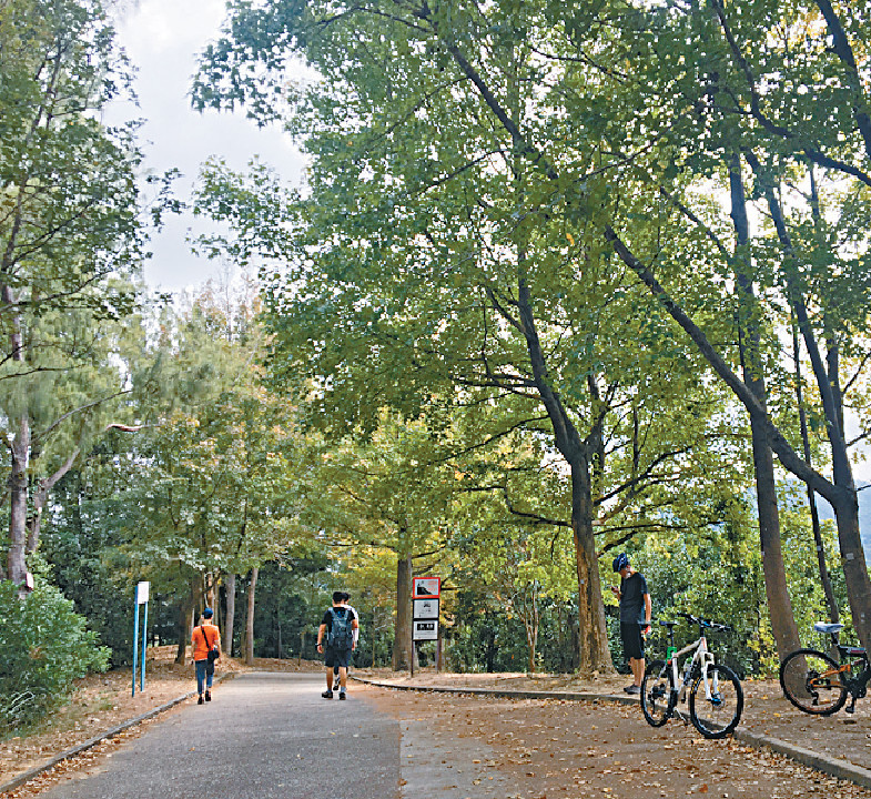 wfap019p01e wfap019p01e