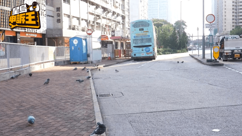 深水埗丽阁邨对出空地,野鸽数量已减少。 深水埗丽阁邨对出空地,野鸽数量已减少。