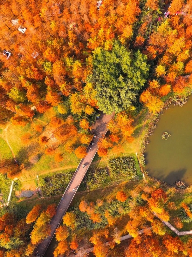 大观湿地公园位于天河区思礼路,邻近天河软件园(图片来源:阿Q带你去旅行@小红书) 大观湿地公园位于天河区思礼路,邻近天河软件园(图片来源:阿Q带你去旅行@小红书)
