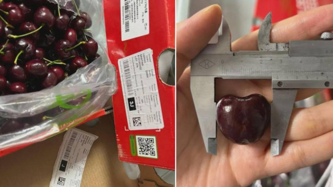 杨丽(化名)从盒马鲜生购得的车厘子,发现实物大小与包装不符。 杨丽(化名)从盒马鲜生购得的车厘子,发现实物大小与包装不符。