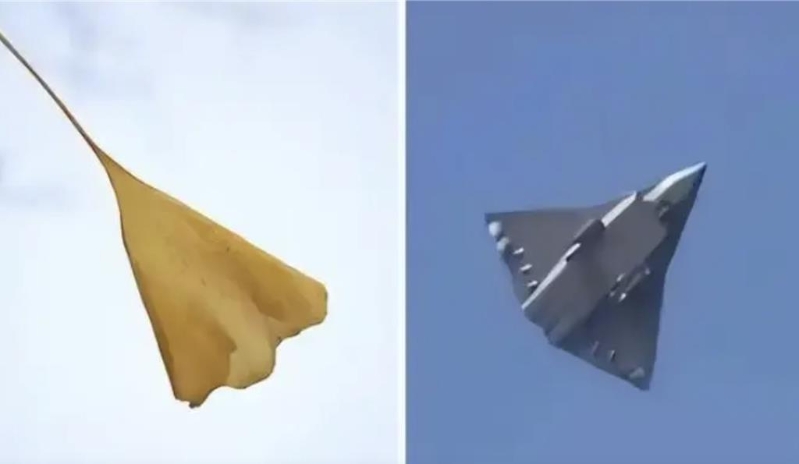 解放军东部战区元旦发布影音,银杏叶、飞鸟图出镜。 解放军东部战区元旦发布影音,银杏叶、飞鸟图出镜。