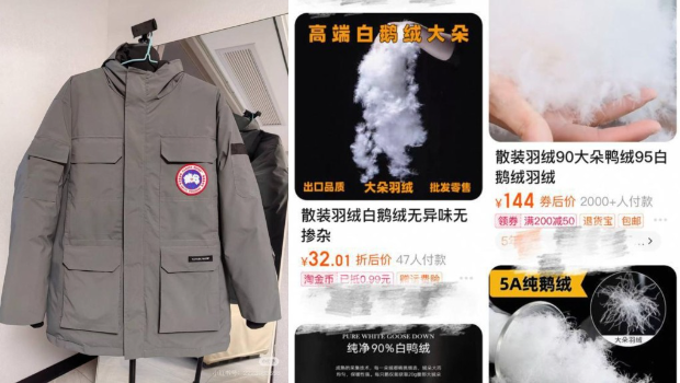 “加拿大鹅”太贵! “加拿大鹅”太贵!