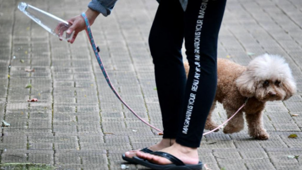 毒饵黑点遍布香港 毒饵黑点遍布香港