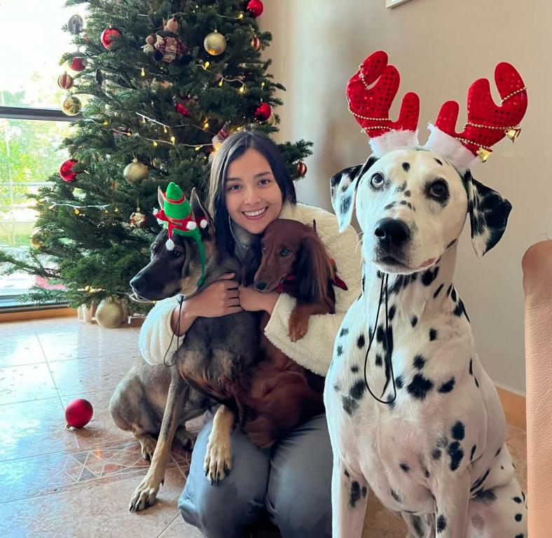 艺人谢嘉怡上月带同3只爱犬到大埔社山村散步,其中2只小狗误服藏有毒药的肉而离世。 艺人谢嘉怡上月带同3只爱犬到大埔社山村散步,其中2只小狗误服藏有毒药的肉而离世。