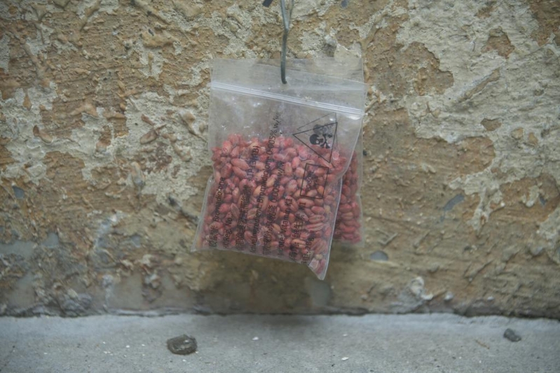 不少网民担心宠物误服毒鼠饵会影响健康。 不少网民担心宠物误服毒鼠饵会影响健康。