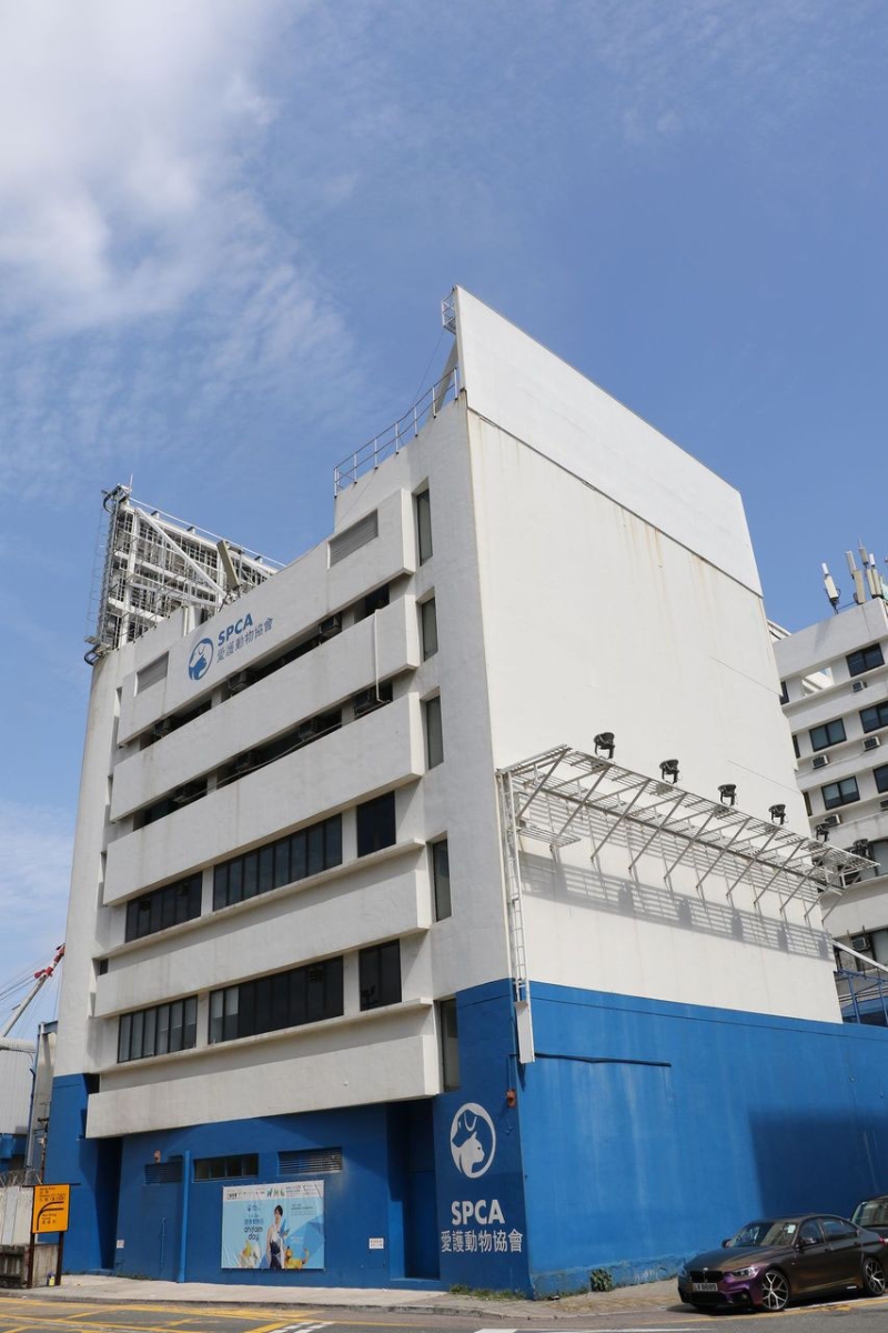 爱护动物协会于过去3年,协助警方处理21宗疑似狗只中毒案件。 爱护动物协会于过去3年,协助警方处理21宗疑似狗只中毒案件。