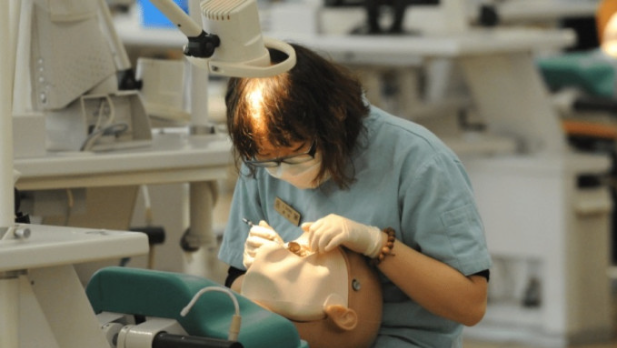 卫生署已启动招聘非本地培训牙医工作 卫生署已启动招聘非本地培训牙医工作