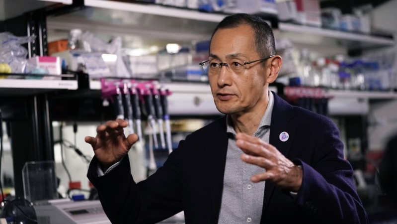 iPS细胞由京都大学iPS细胞研究所所长山中伸弥教授发表。美联社 iPS细胞由京都大学iPS细胞研究所所长山中伸弥教授发表。美联社